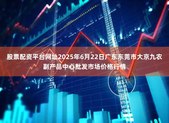 股票配资平台网址2025年6月22日广东东莞市大京九农副产品中心批发市场价格行情