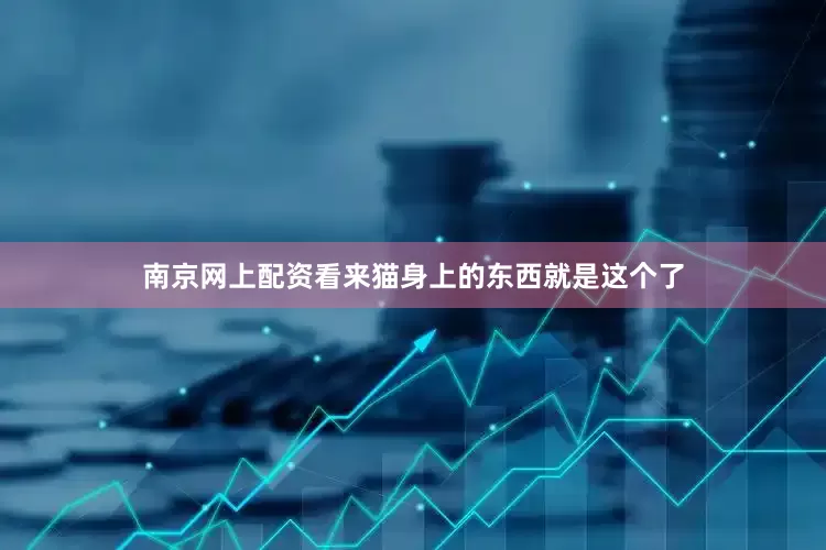 南京网上配资看来猫身上的东西就是这个了