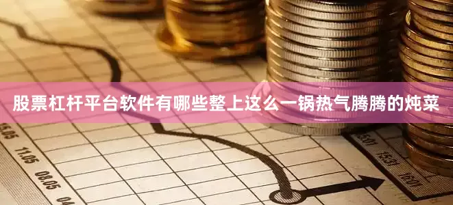 股票杠杆平台软件有哪些整上这么一锅热气腾腾的炖菜