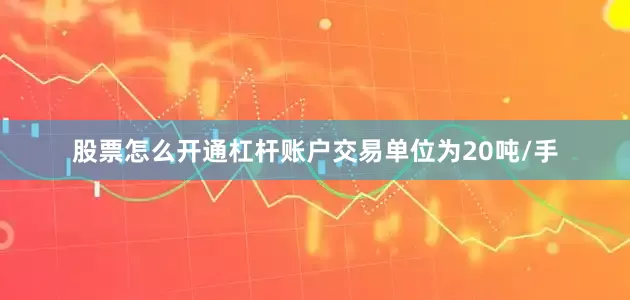 股票怎么开通杠杆账户交易单位为20吨/手