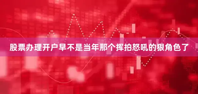 股票办理开户早不是当年那个挥拍怒吼的狠角色了