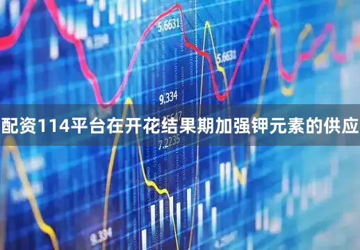 配资114平台在开花结果期加强钾元素的供应