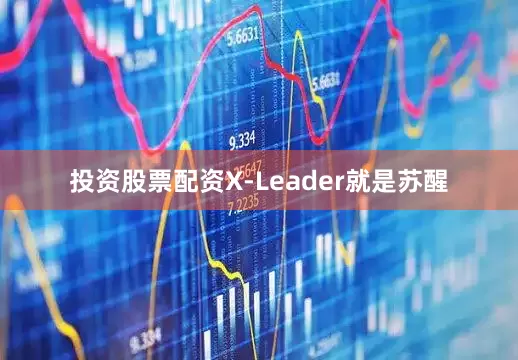 投资股票配资X-Leader就是苏醒
